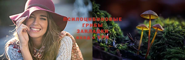 крисы Карпинск