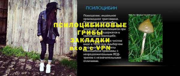 крисы Карпинск