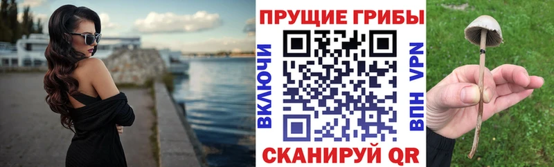 Купить  Галич  Галлюциногенные грибы Psilocybine cubensis 